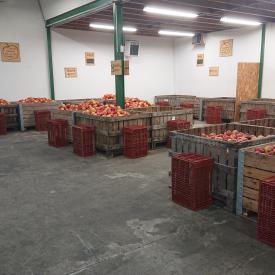 Achetez vos pommes directement aux vergers