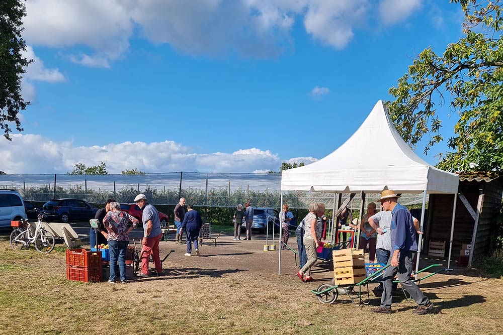 vente pommes vergers herbauges - cueillette pommes 44860