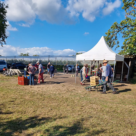 Vente pommes vergers herbauges - cueillette saint aignan grand lieu 44860